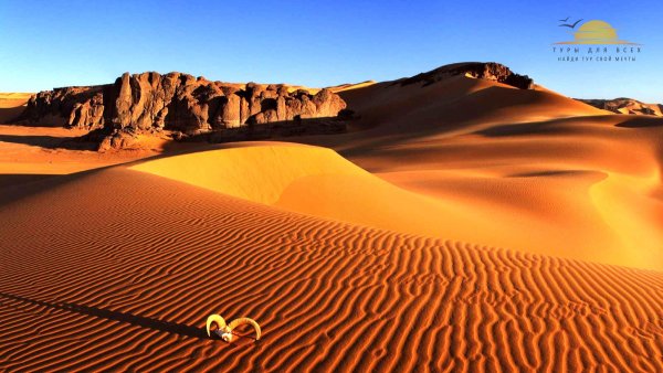 Тайны, которые хранят пески Сахары